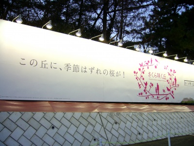 桜の花型イルミネーションと看板。JR横須賀線の車内からよく見える
