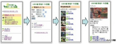 「5本の樹・野鳥ケータイ図鑑」サイト