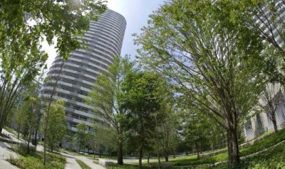 「M.M.TOWERS FORESIS」