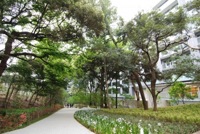 旧・池田公爵邸の屋敷林を保存した遊歩道「フォレスト イン フォレスト」には、原宿の喧噪とはほど遠い静けさが