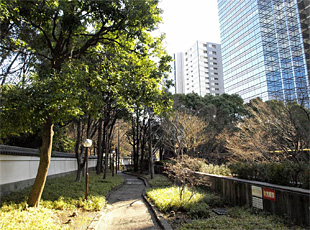 後楽緑道(右手中央が後楽森ビル)※文京区提供