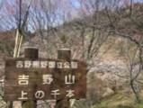 「伊藤忠アーバンコミュニティの杜」がある上千本地区