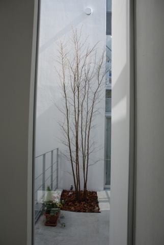 同社ソリューション事業部・井上理晴氏が「一番好き」と推薦してくれた窓。まるで、庭木を眺めるためにだけ作られたかのような窓である