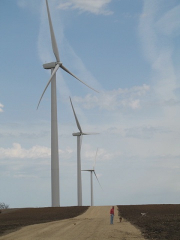 風車の大きさは右の人物でおわかりだろうか？