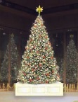 丸ビルクリスマスツリー(イメージ)