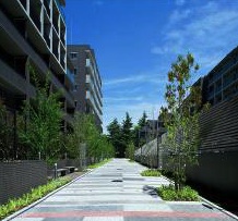 敷地内を通る市道
