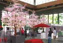 マルキューブ桜展示(イメージ)