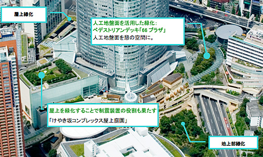 六本木ヒルズの特殊緑化施設の配置