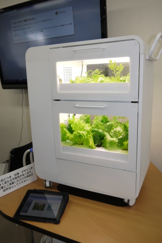家庭用植物工場でのレタス栽培の様子。なお、工場は試作品で、今後製品化の予定