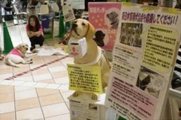 「エコハロー!盲導犬ふれいあキャンペーン」実施時の様子