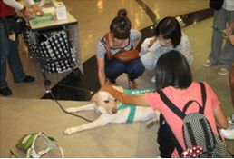 「エコハロー!盲導犬ふれいあキャンペーン」実施時の様子