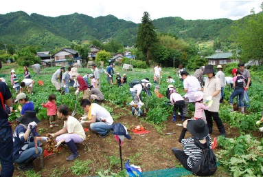 「BRANZサポート」プログラムで、里山で野菜収穫を体験している様子