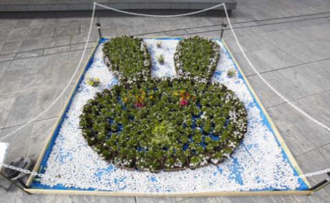 昨年の花絵コレクション