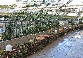 「東急プラザ 赤坂」で実施されたグリーンカーテンと植栽一体型ウッドベンチ