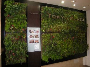 「東急プラザ 札幌」エントランス内部壁面で行なわれた屋内緑化