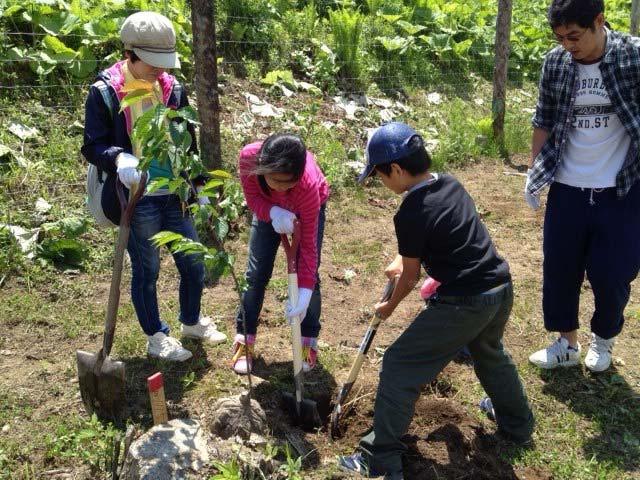 「ミサワオーナーの森 釧路町」での植林活動の様子