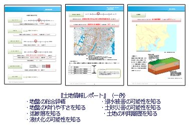 「土地情報レポート」の一例