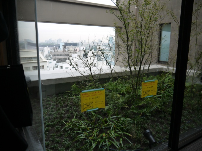 12階に設けられたコモンガーデン