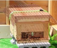 ミツバチの巣箱。同開発地内で約2万匹のミツバチを養蜂する