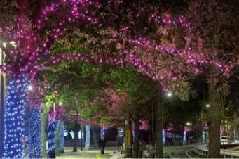 桜色のイルミネーションを設置