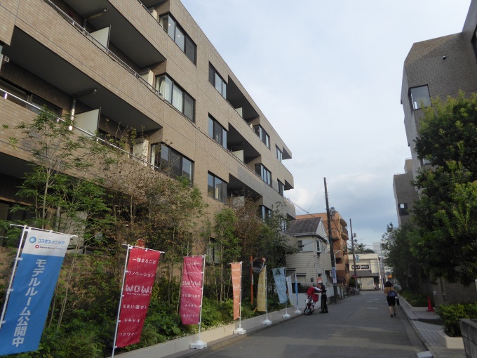 アリーナ前面の空間には、ウッドデッキとベンチを設置。居住者の交流スペースとした