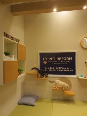 ショールームでは、猫が滑りにくいフローリングや部屋に梁のようにわたすキャットウォーク、防汚処理された畳、ステップなどを展示し、猫との共生空間をイメージしやすいようにした