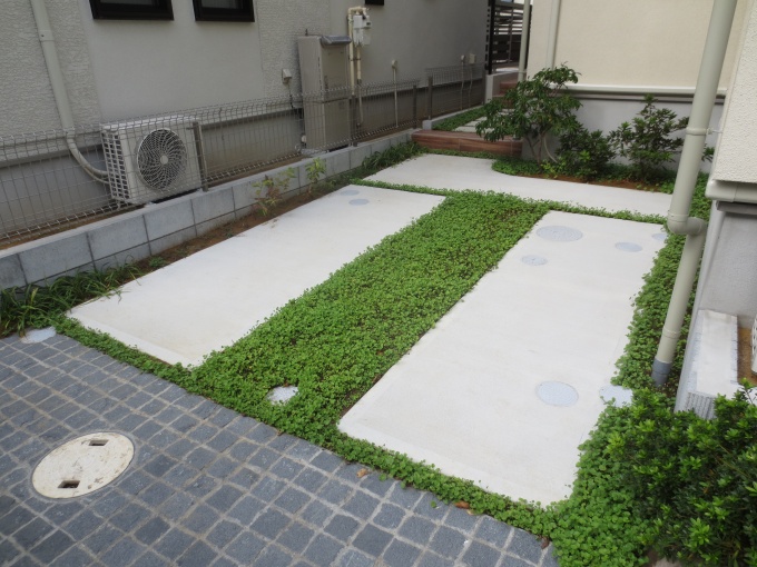 ほぼすべての住戸の外構は緑で覆われている。カーポートや敷地端部などには、メンテナンスフリーのダイカンドラが植えられる。保水性にも優れる