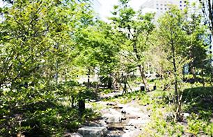 「虎ノ門ヒルズ」では、敷地内に草地や水辺など多様な環境を創出した