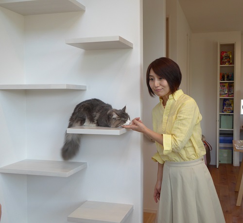 猫と暮らす